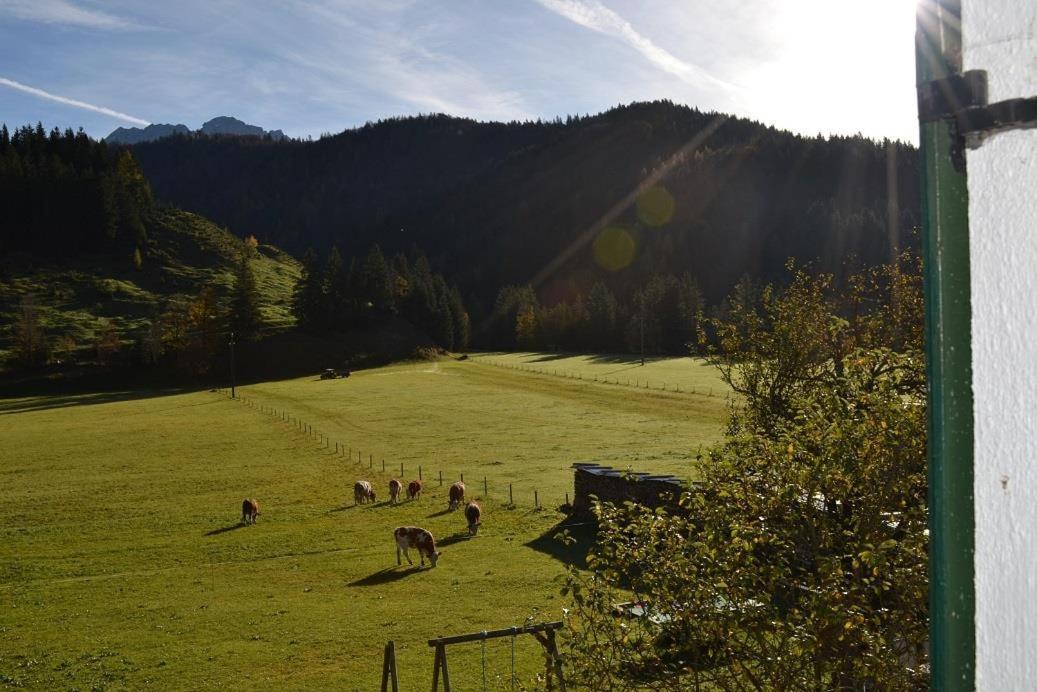 Ferienwohnungen Foidlhof Hochfilzen Esterno foto