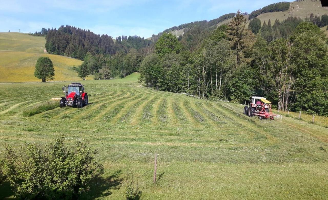 Ferienwohnungen Foidlhof Hochfilzen Esterno foto